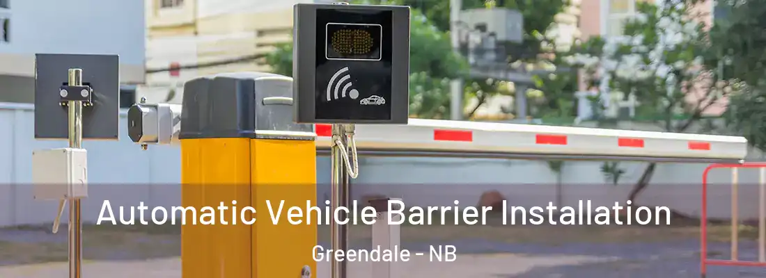Automatic Vehicle Barrier Installation Greendale - NB