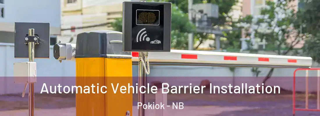 Automatic Vehicle Barrier Installation Pokiok - NB