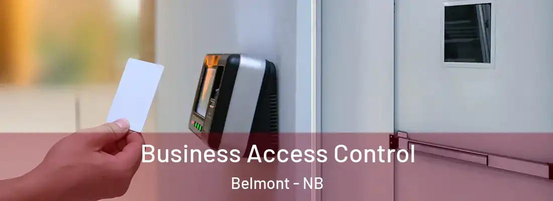 Business Access Control Belmont - NB