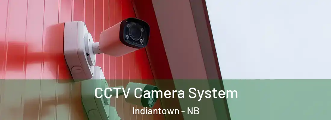 CCTV Camera System Indiantown - NB