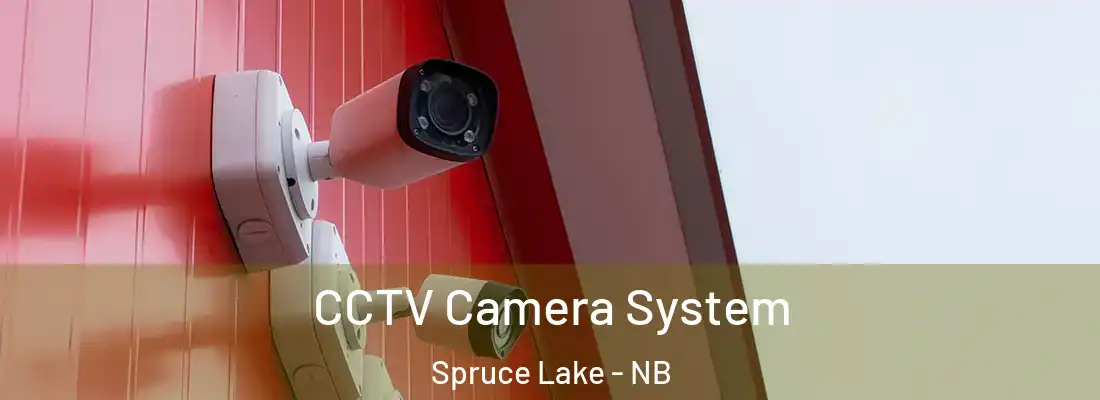 CCTV Camera System Spruce Lake - NB