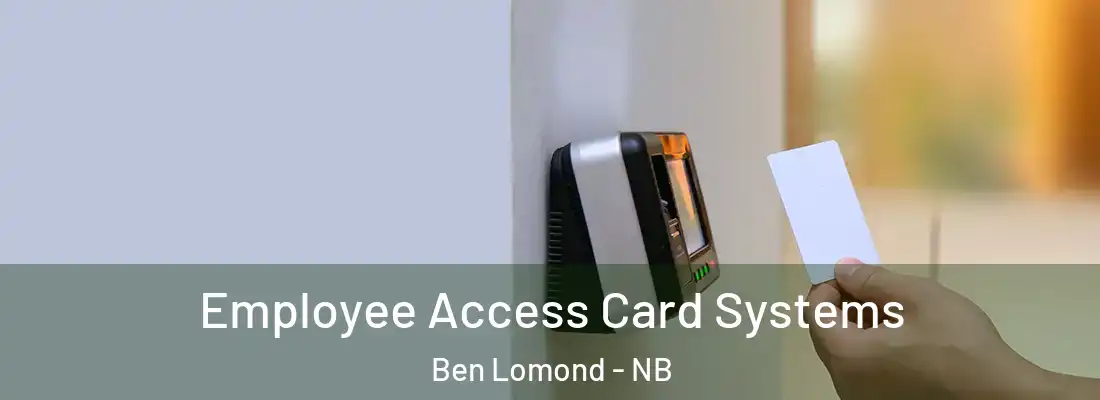 Employee Access Card Systems Ben Lomond - NB