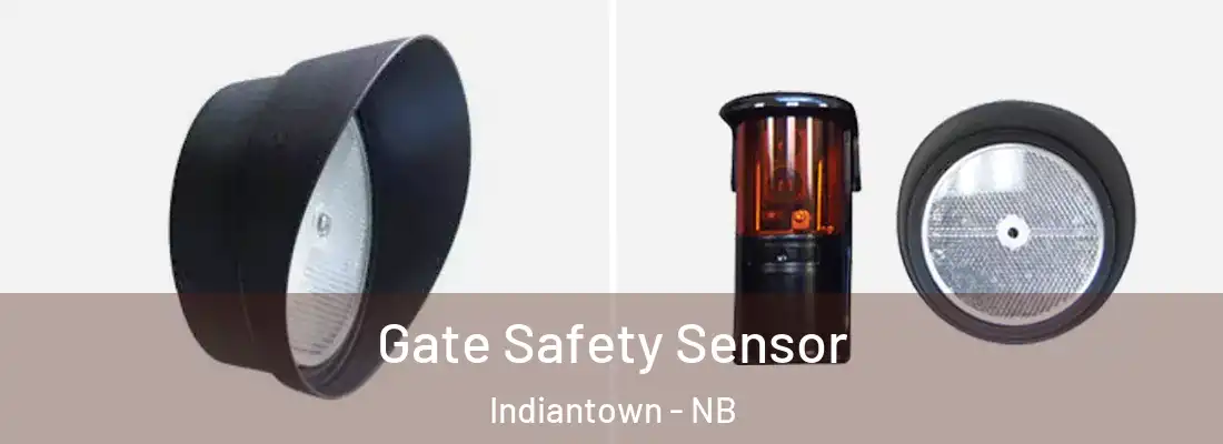 Gate Safety Sensor Indiantown - NB