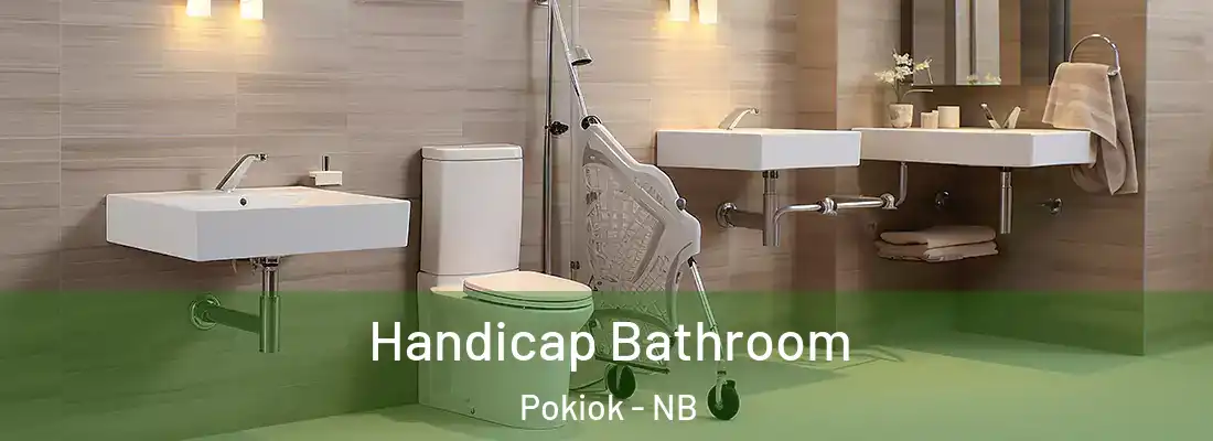 Handicap Bathroom Pokiok - NB