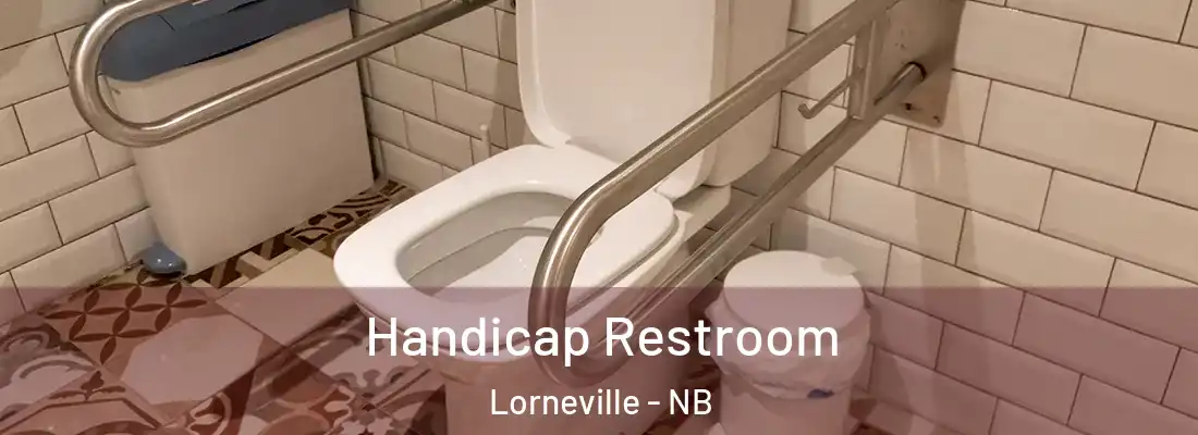 Handicap Restroom Lorneville - NB