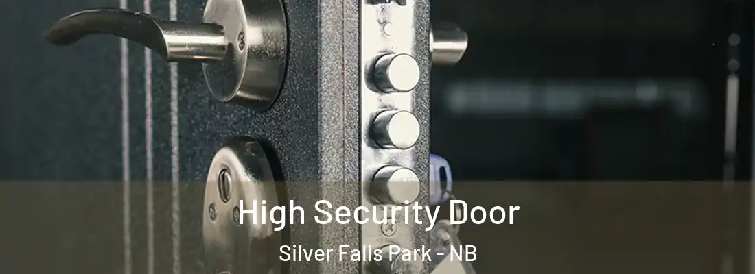High Security Door Silver Falls Park - NB