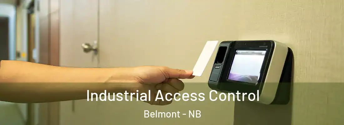 Industrial Access Control Belmont - NB