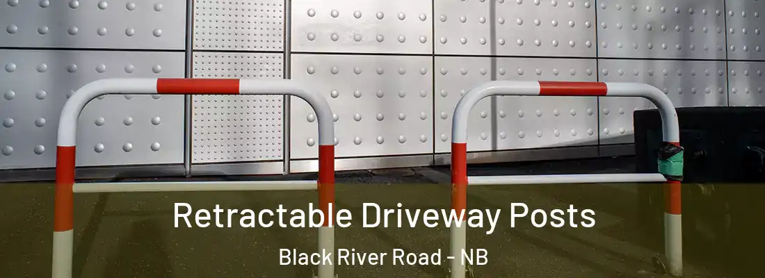 Retractable Driveway Posts Black River Road - NB