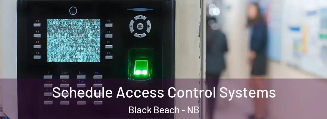 Schedule Access Control Systems Black Beach - NB