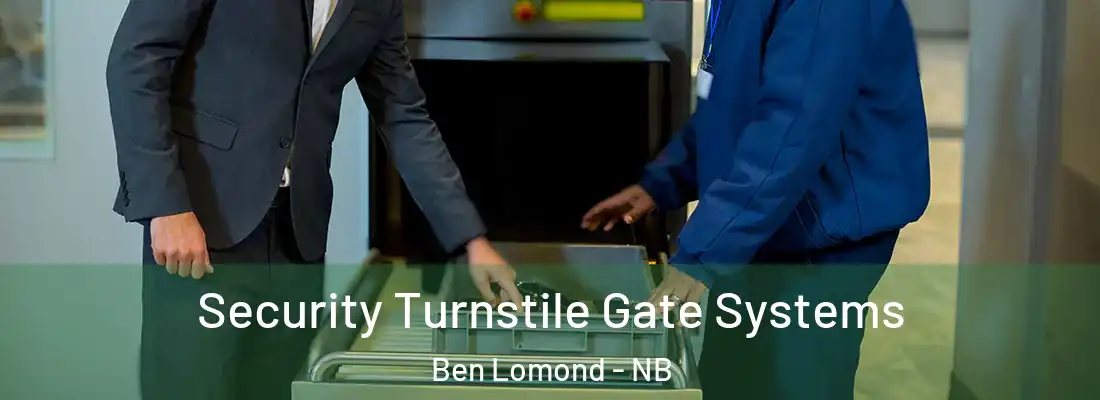 Security Turnstile Gate Systems Ben Lomond - NB